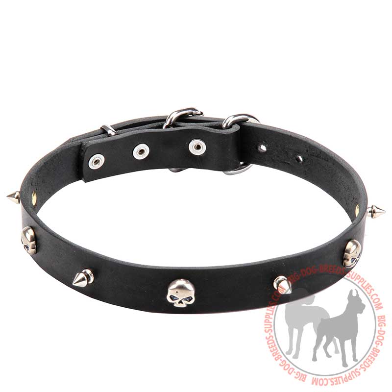 "Pirate" Leather Canine Collar with Spikes and Skulls of Nickel Plated Steel