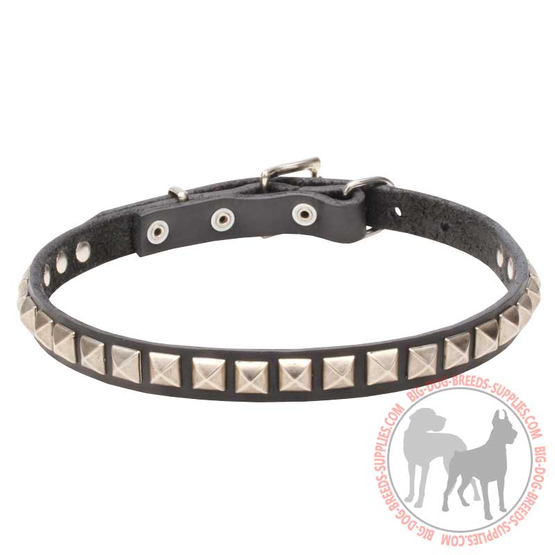 "King Studs" Leather Dog Collar with Chrome Plated Decorations