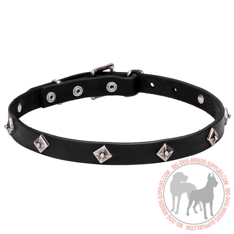 "Cosmic Stars" Leather Dog Collar with Star Studs and Reliable Hardware