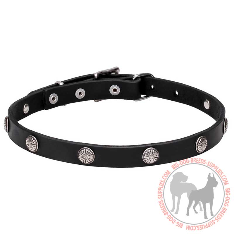 "Antique Flowers" Leather Dog Collar with Chrome Plated Steel Elegant Studs - 4/5 inches (20 mm)