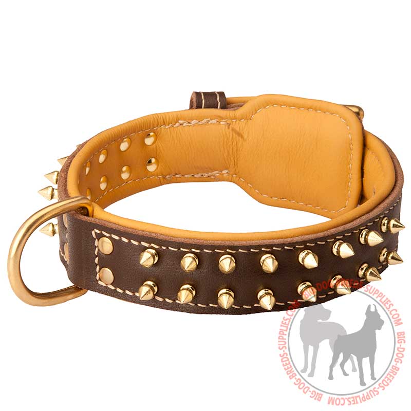 Walking Nappa Leather Dog Collar with Spikes