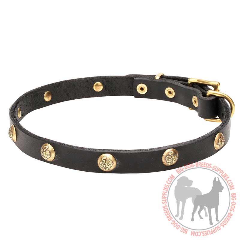 "Stamped Studs" Leather Dog Collar with Brass Hardware and Adornment
