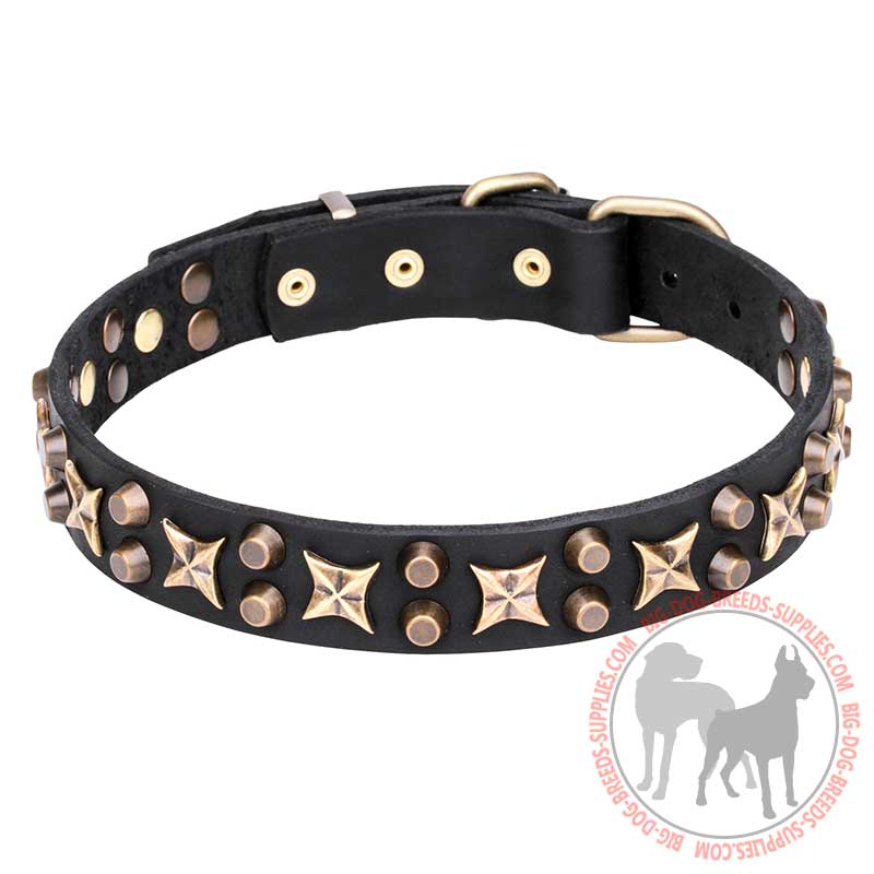 "Hollywood Star" Leather Dog Collar with Bronze Plated Fittings