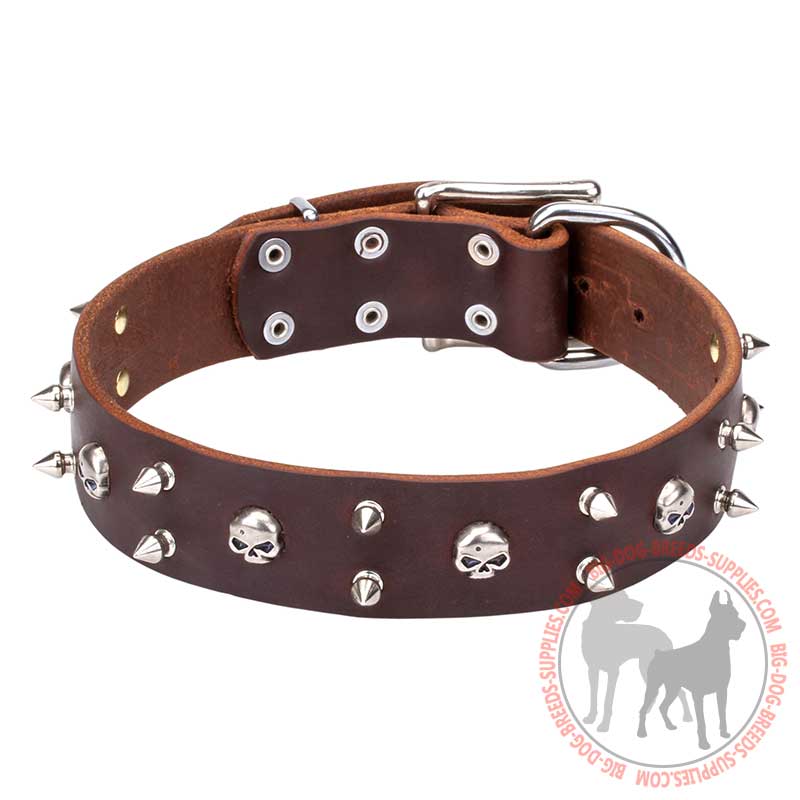 "Blackbeard" Leather Dog Collar with Skulls and Spikes Decor