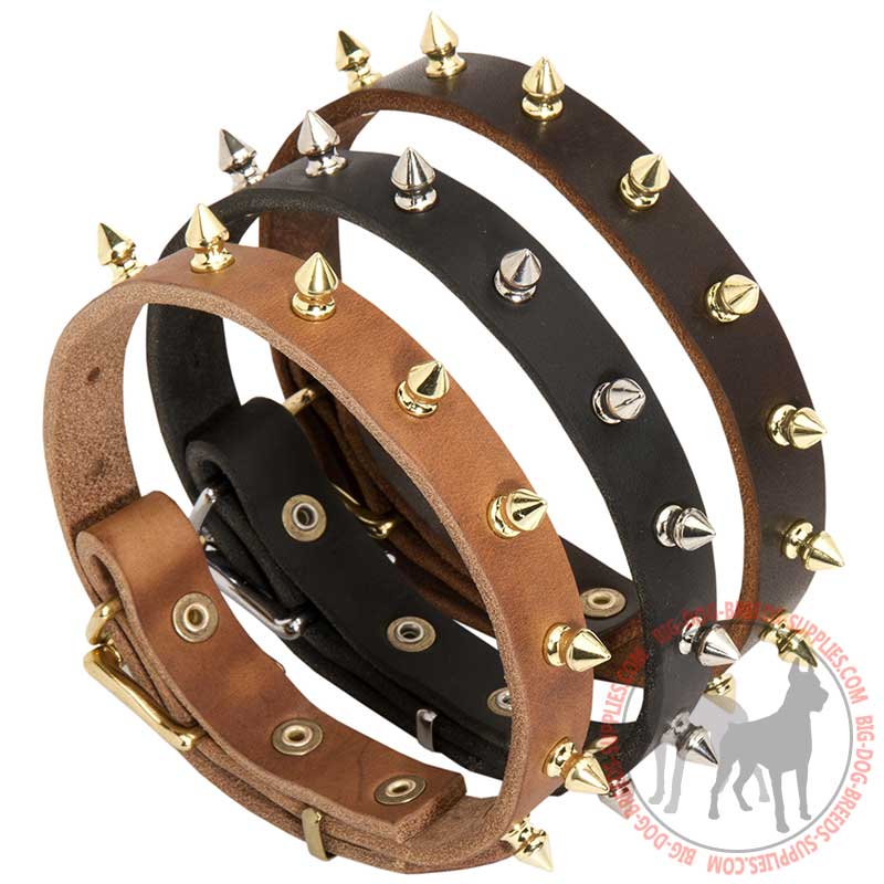 Walking Spiked Leather Dog Collar