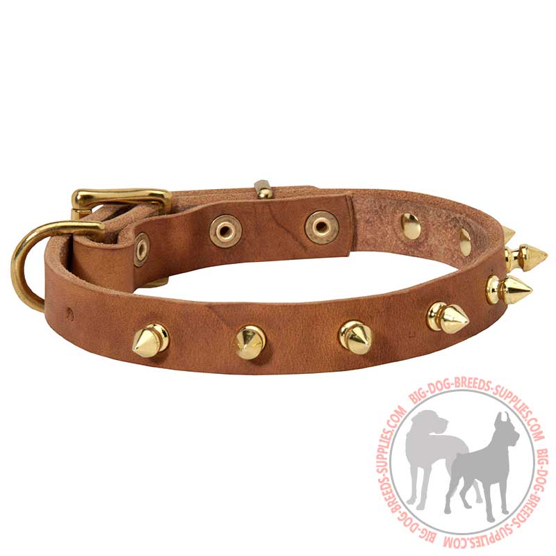 Walking and Training Spiked Leather Dog Collar