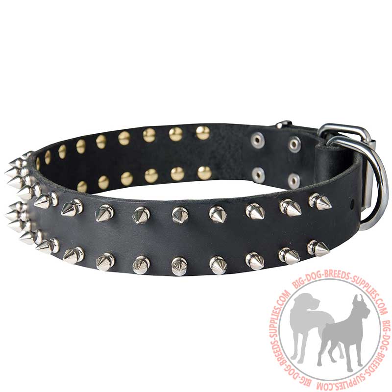 Fashionable Walking Leather Spiked Dog Collar