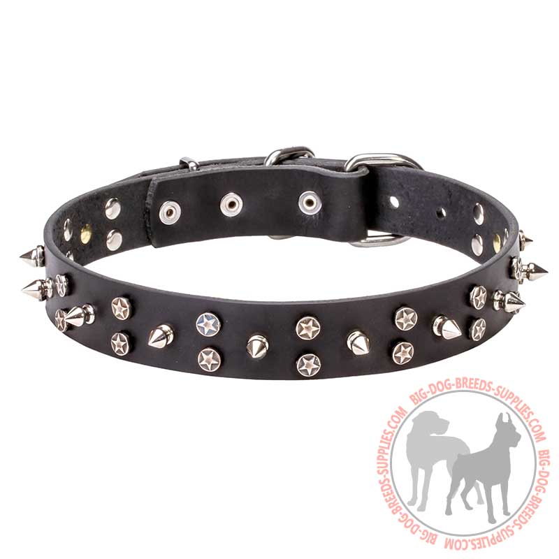 "Star-studded Sky" Walking Leather Dog Collar with Chrome Plated Decorations