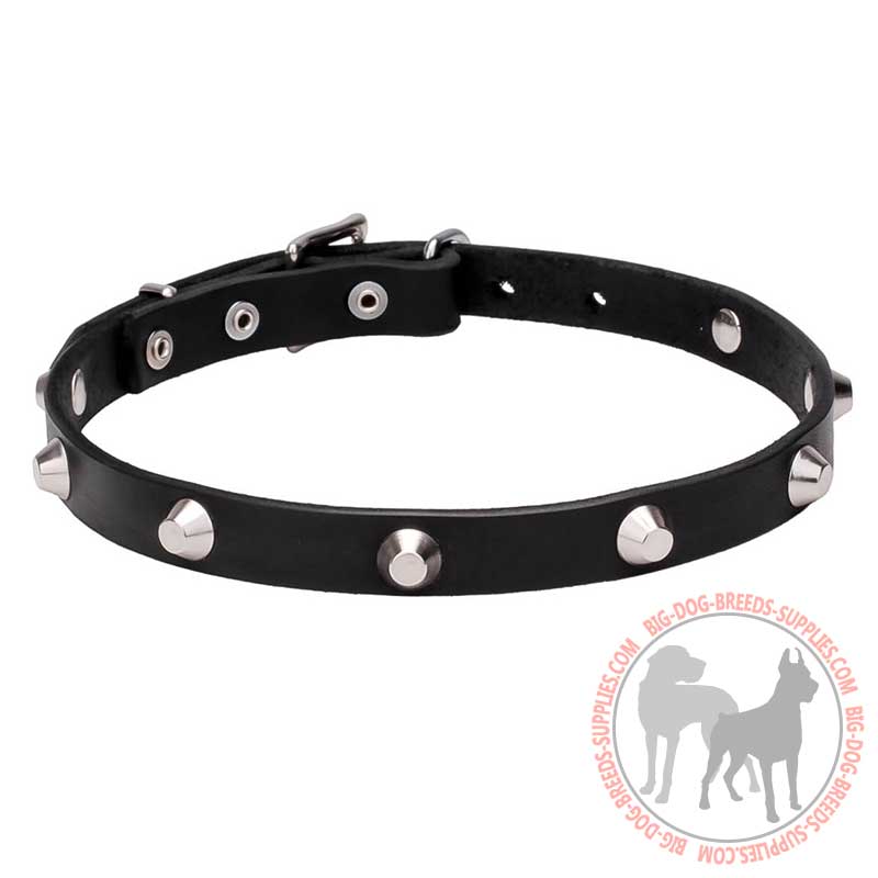 "Beauty & Elegance" Leather Canine Collar with Chrome Plated Adornment