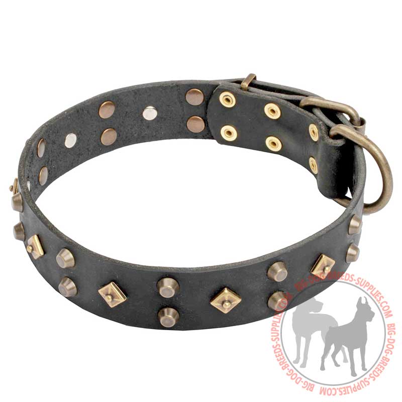 'Egypt Treasure' Leather Dog Collar with Mix of Brass and Old Bronze Decor