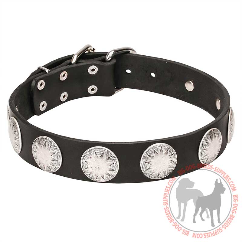 "Maya Indians" Wide Leather Dog Collar Decorated with Silvery Circles