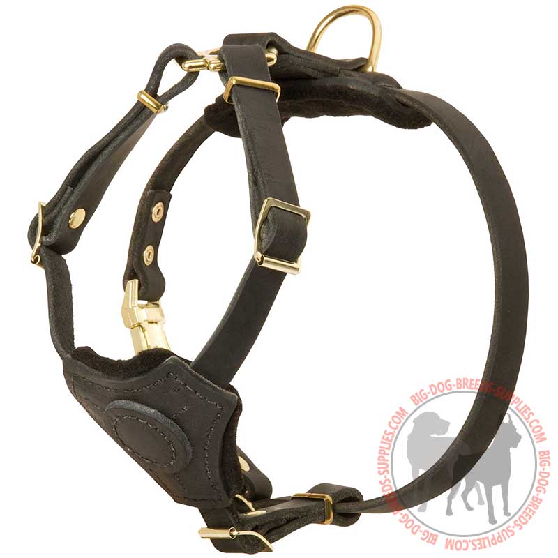 Training and Walking Puppy Leather Dog Harness