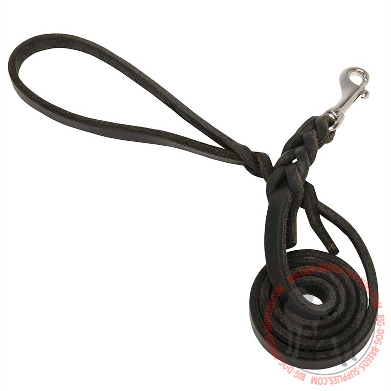 "Keep Closer" Leather Dog Lead with Stainless Steel Snap Hook