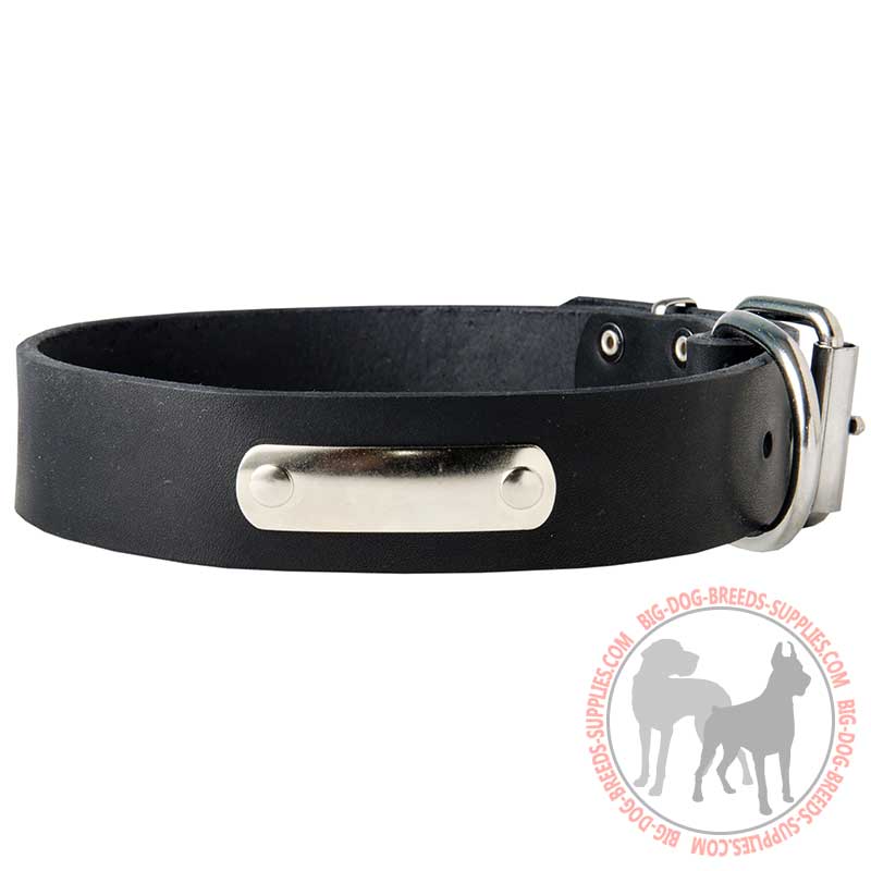 Identification Leather Dog Collar for Walking and Training