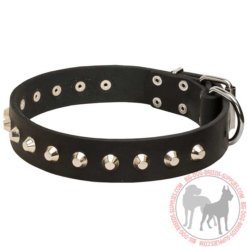 Leather Dog Collar with Nickel Pyramids for Walking