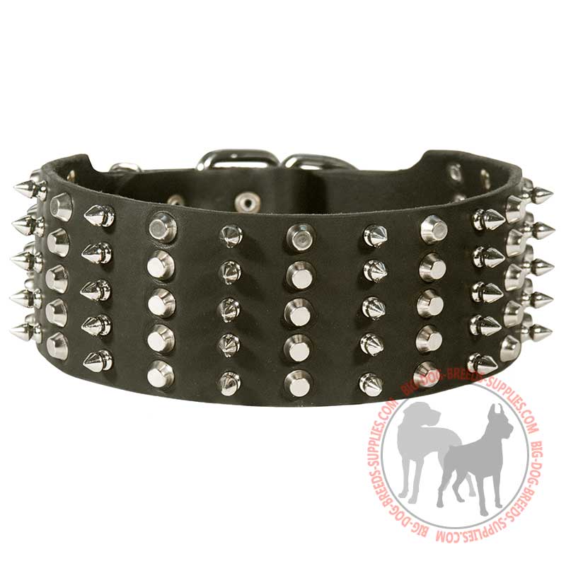 Extra Wide Decorated Leather Dog Collar