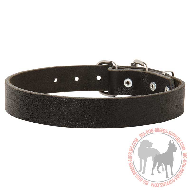 Comfortable Leather Dog Collar with Adjustable Buckle