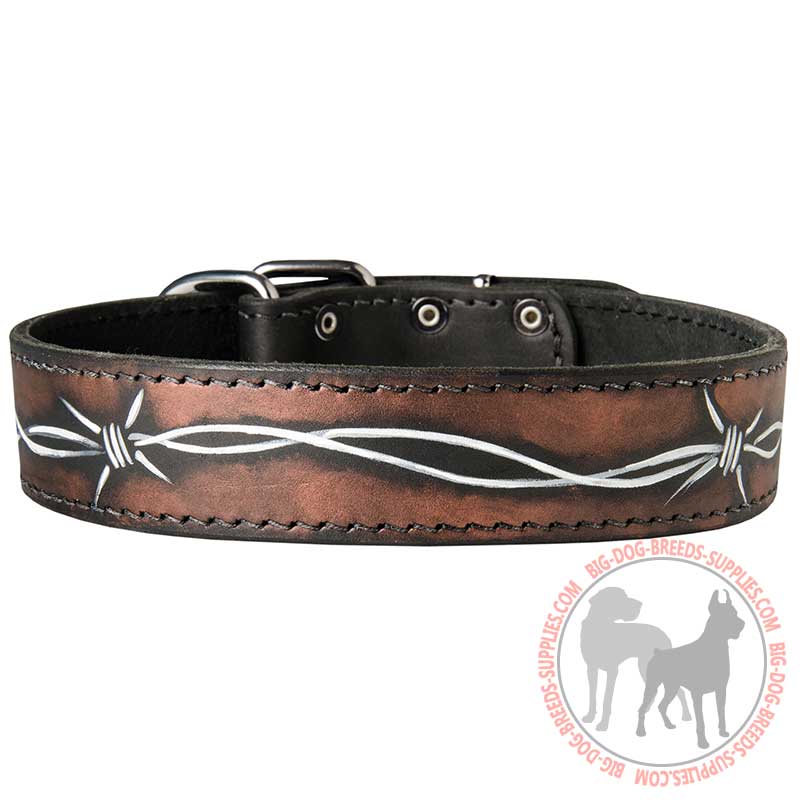 Handpainted Leather Dog Collar for Walking and Training