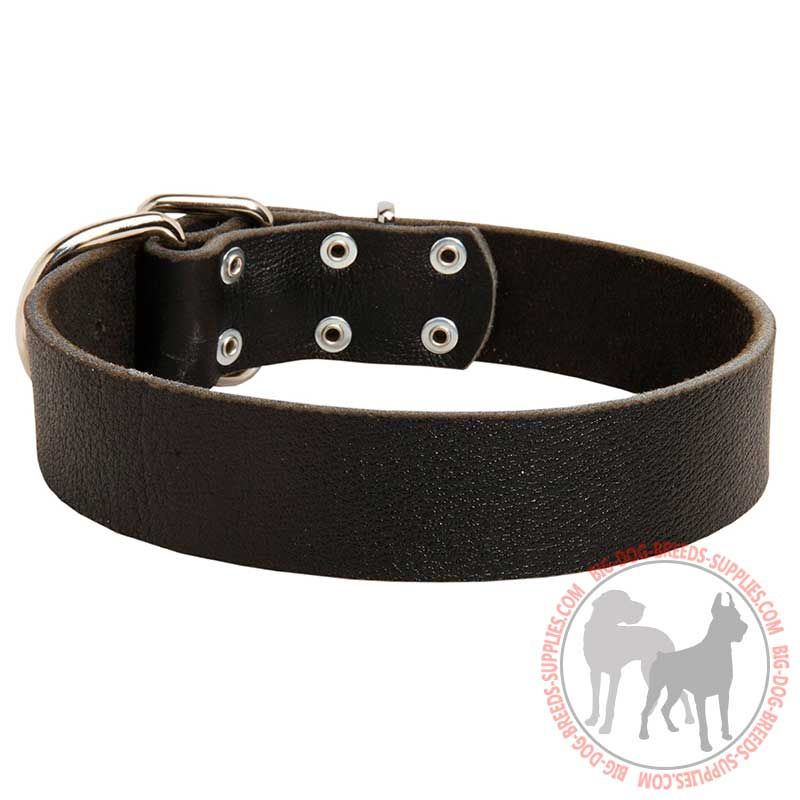 Practical Leather Canine Collar for Daily Activities