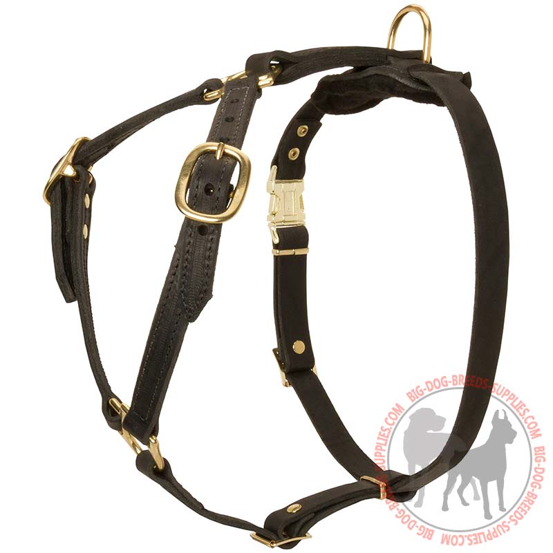 Leather Dog Harness for Tracking, Walking and Training