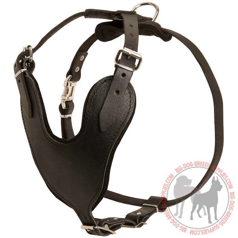 Adjustable Leather Dog Harness for Agitation / Protection / Attack Training