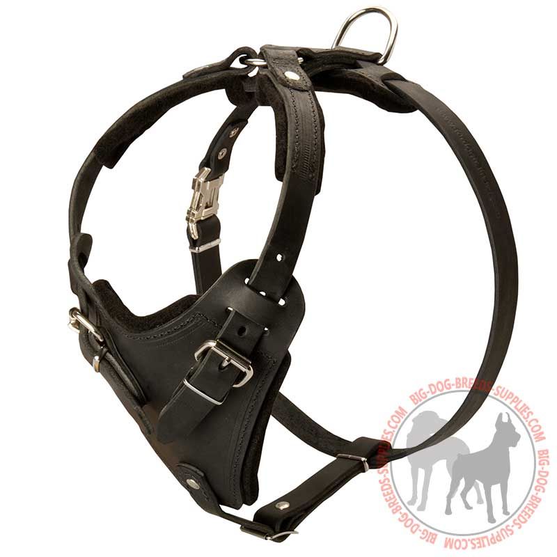 Protection Leather Dog Harness with Wide Chest Plate for Attack Work