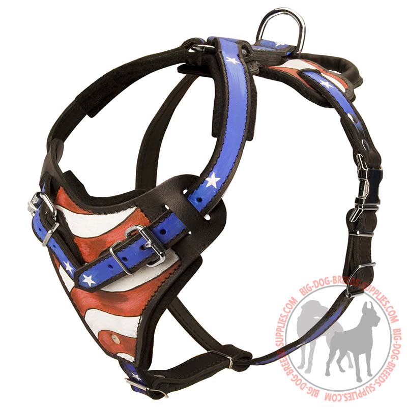 Training Leather Handpainted Dog Harness
