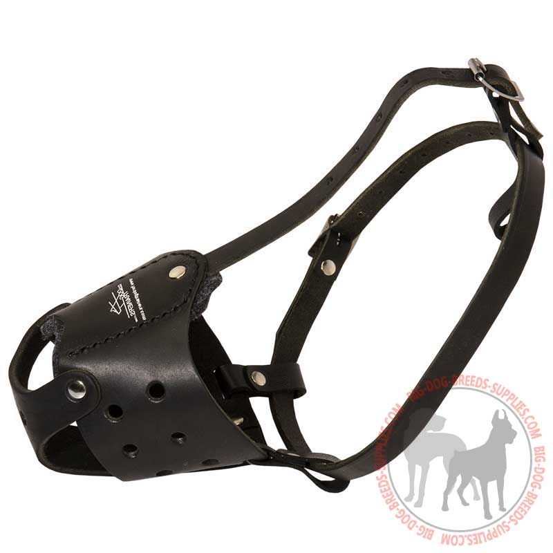 Anti-Barking Leather Dog Muzzle