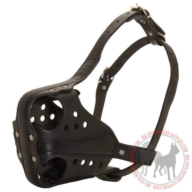 Extra Strong Leather Dog Muzzle for Attack Training