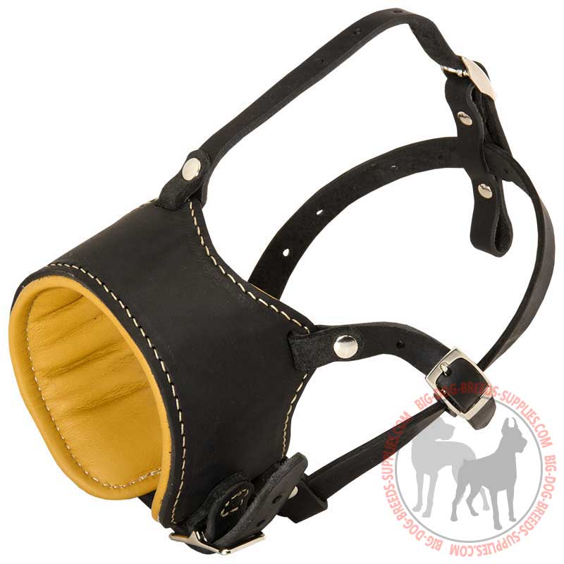 Adjustable Padded Leather Dog Muzzle for Walking and Training