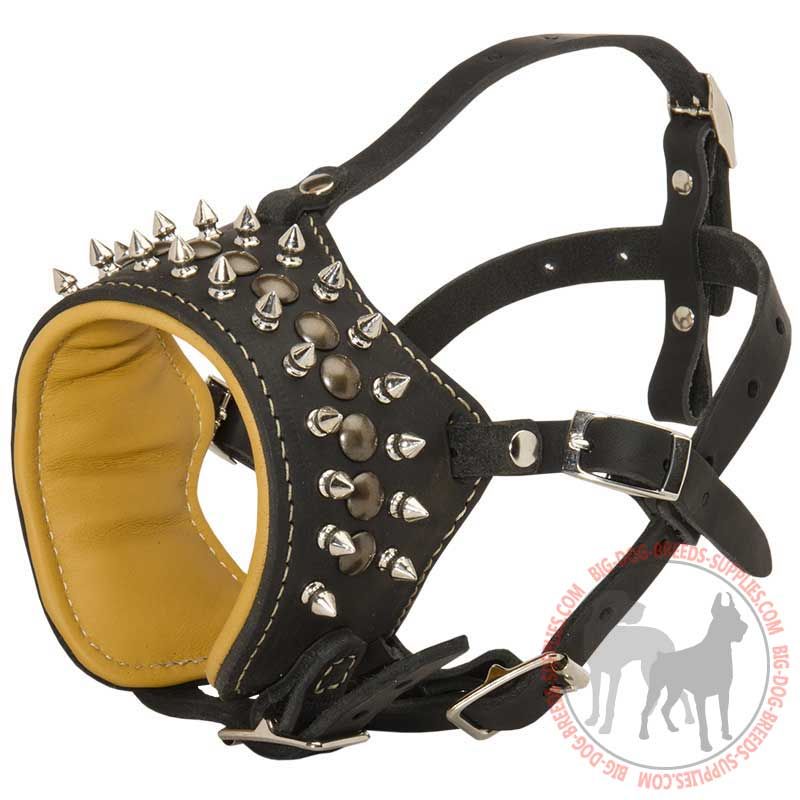 Spiked Leather Canine Muzzle for No Bark Training
