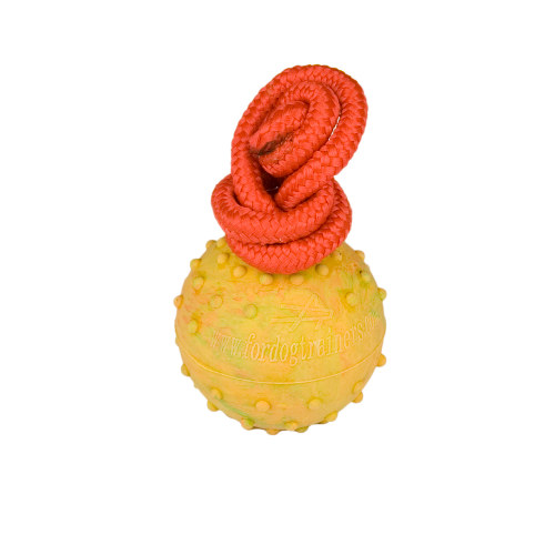 Hollow Training Toy for Mastiff 2 1/3 inch (6 cm)