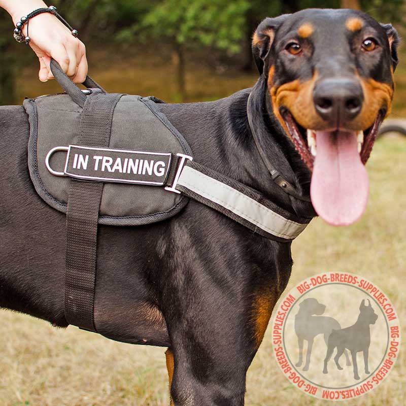 Water Resistant Nylon Doberman Harness with Reflective Strap