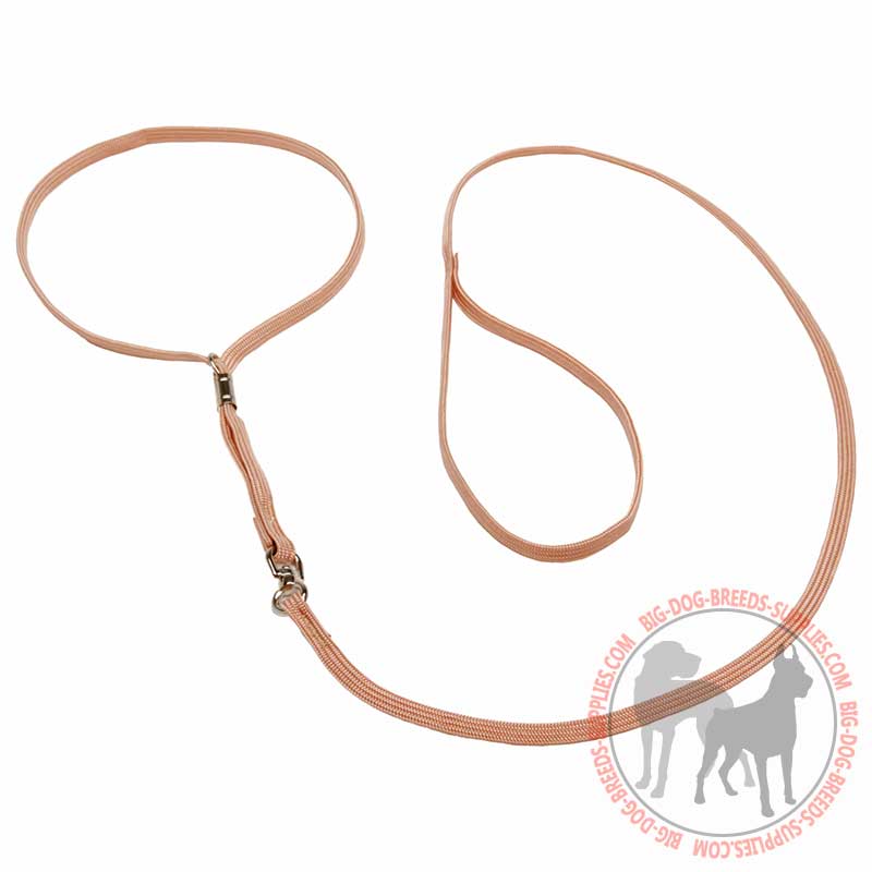 Champion Nylon Dog Show Collar Lead Set L54 1105 Nylon dog show leash collar Big Large Dog Supplies Dog Muzzles Harnesses Collars Leashes Toys Bite Sleeve Dog Store
