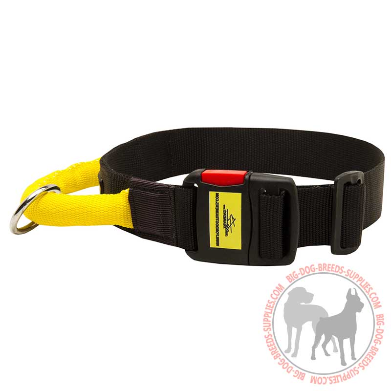 Nylon Dog Collar with Strong Handle and Quick Release Buckle
