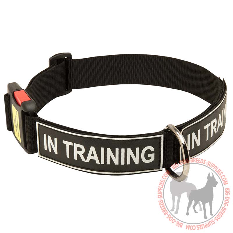 Strong Nylon Dog Collar with Identification Patches