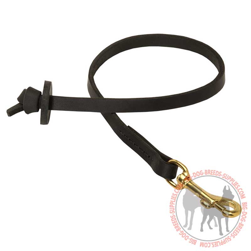 Training Pocket Leather Dog Leash