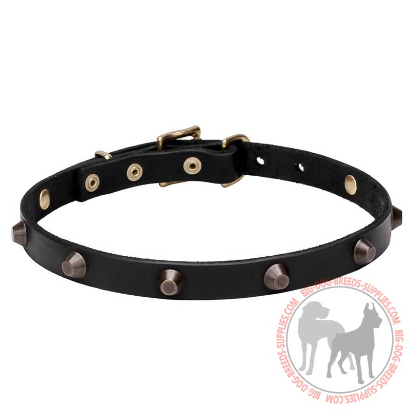 "Age of Style" Natural Leather Dog Collar with Cones Adornment