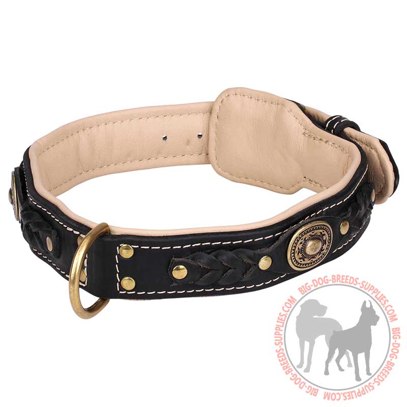 Royal Leather Dog Collar with Nappa Padding for Fashionable Walking