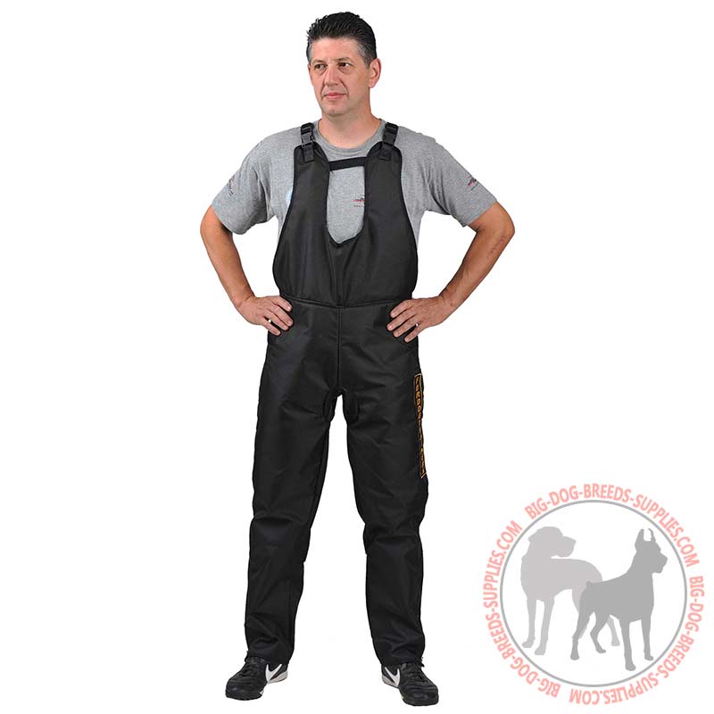 Scratch pants for clearance dog training