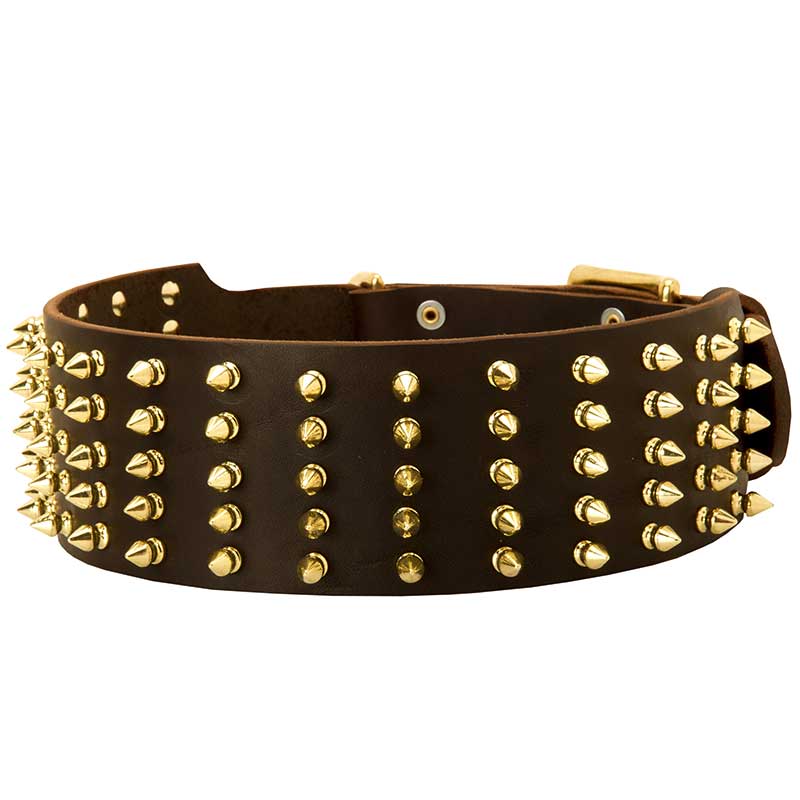 Extra Wide Leather Dog Collar Decorated with Spikes