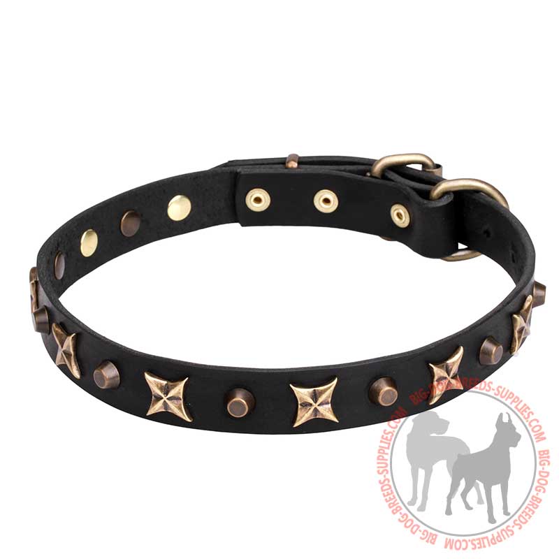 "Four Cornered Stars" Leather Dog Collar with Bronze-plated Adornment