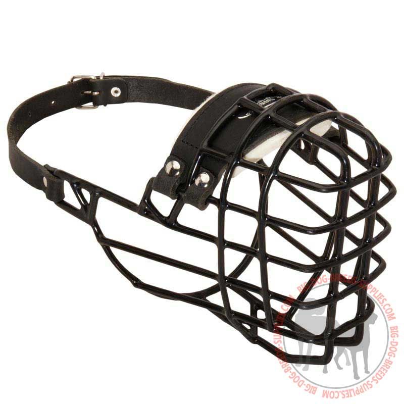 Wire Basket Dog Muzzle for Wintertime