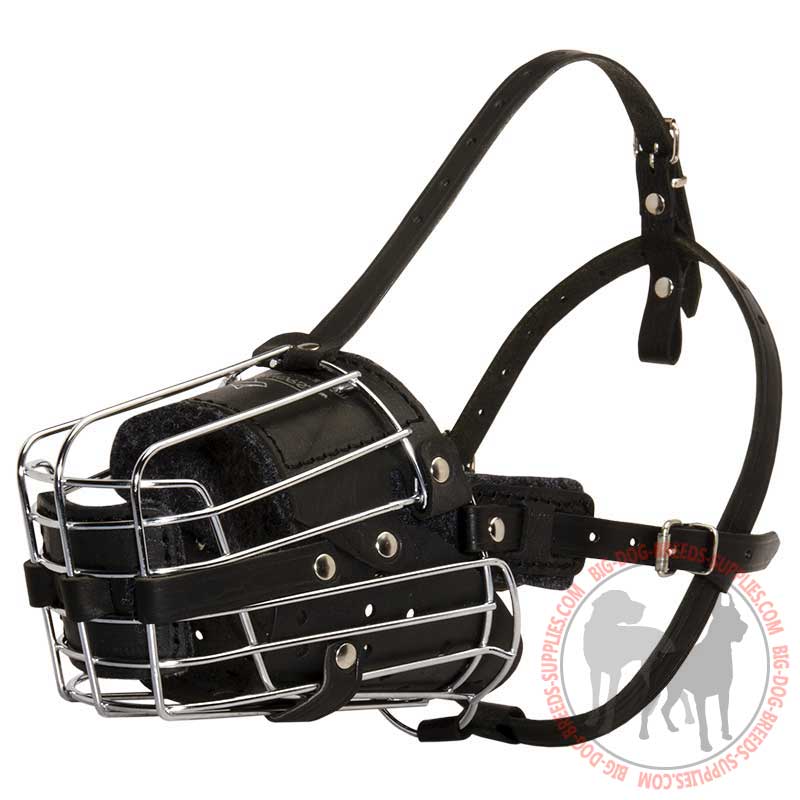 'No Mash' Large Dog Muzzle - Walking and Training Wire Cage Leather Muzzle