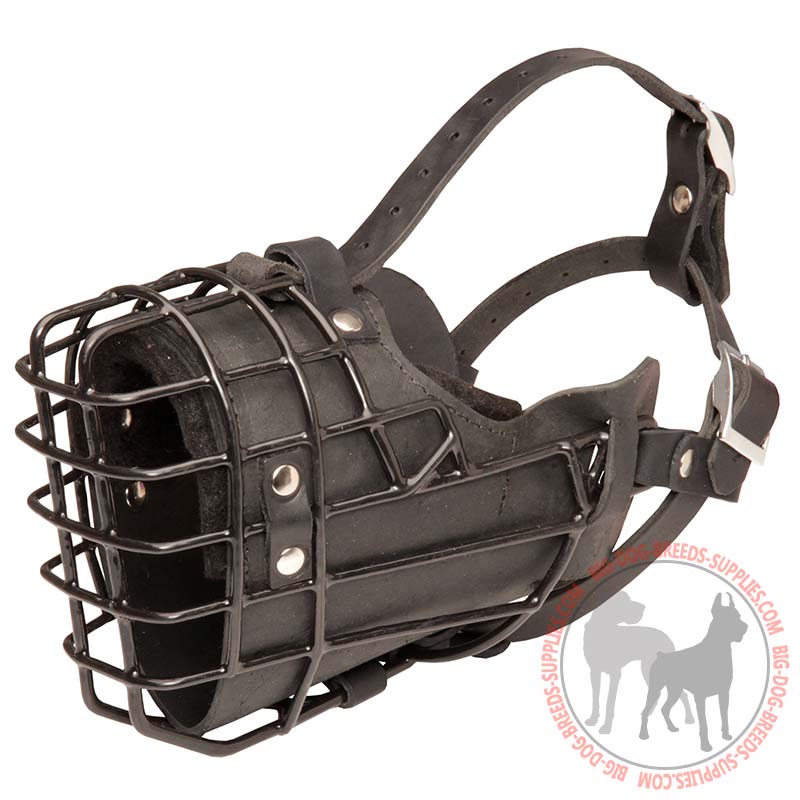 New Wire Cage Leather Padded Dog Muzzle
