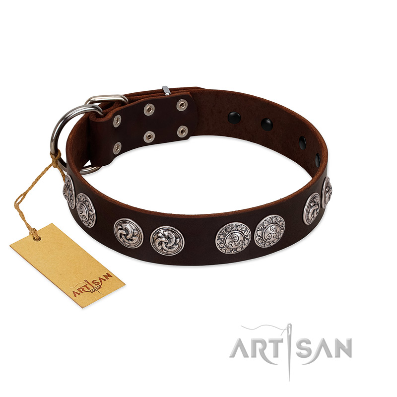 "High and Mighty" FDT Artisan Classy Brown Leather dog Collar with Embellished Brooches