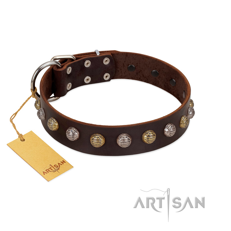 "Gape Buster" FDT Artisan Brown Leather dog Collar with One Row of Studs