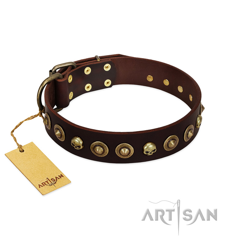 "Street Fashion" FDT Artisan Brown Leather dog Collar Adorned with Circles and Skulls