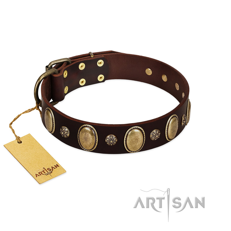"Bronze Idol" FDT Artisan Brown Leather dog Collar with Eye-catching Ovals and Small Studs - Click Image to Close