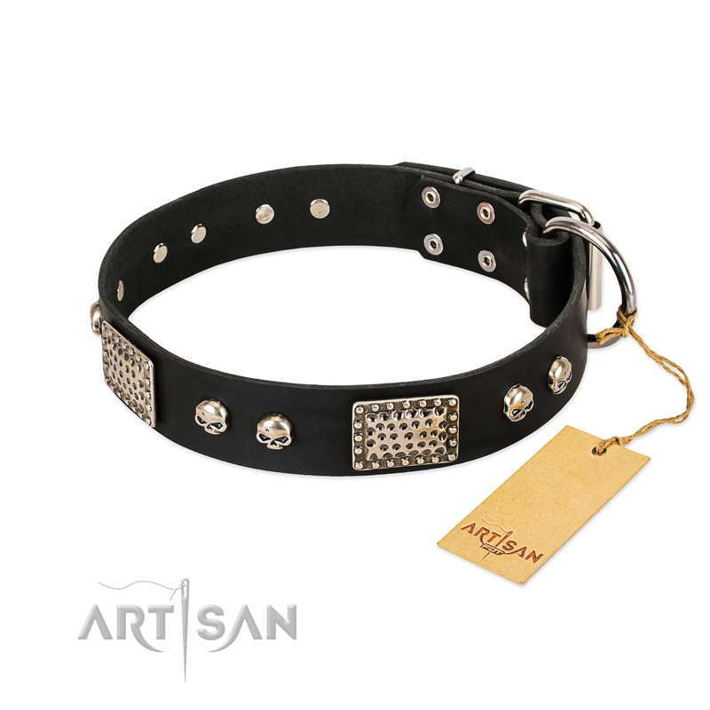 "Pirates Gold" FDT Artisan Black Leather dog Collar with Old Silver Look Plates and Skulls